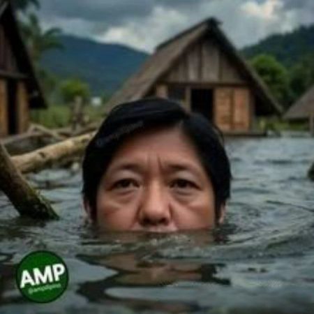 台风强降雨袭击菲律宾，小马科斯被批救灾不力！